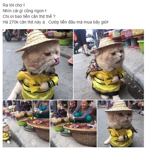 Cả khu chợ thu bé lại vừa bằng một chú Boss xuống phố đi vi hành - Ảnh 1.