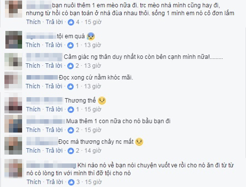 Rơi nước mắt với câu chuyện chú mèo đơn độc nằm đợi người bạn đã bị xe đâm chết - Ảnh 4.