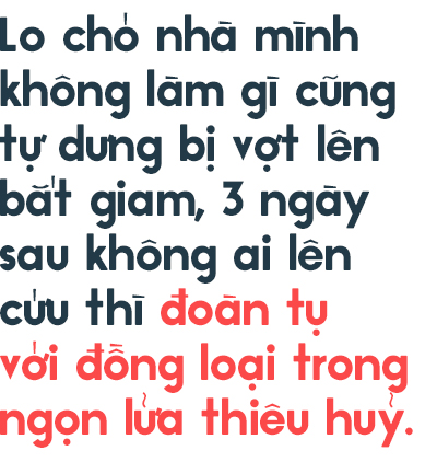 Từ vấn đề bắt nhốt chó ở TP.HCM: Hãy biết yêu thú cưng một cách văn minh và thấu hiểu! - Ảnh 1.