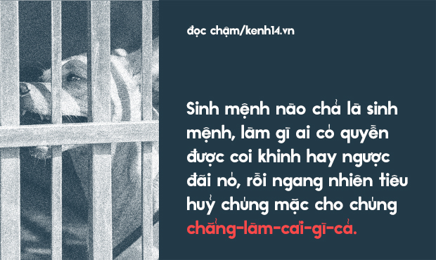 Từ vấn đề bắt nhốt chó ở TP.HCM: Hãy biết yêu thú cưng một cách văn minh và thấu hiểu! - Ảnh 2.