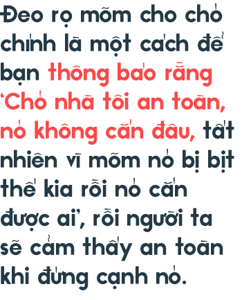 Từ vấn đề bắt nhốt chó ở TP.HCM: Hãy biết yêu thú cưng một cách văn minh và thấu hiểu! - Ảnh 5.