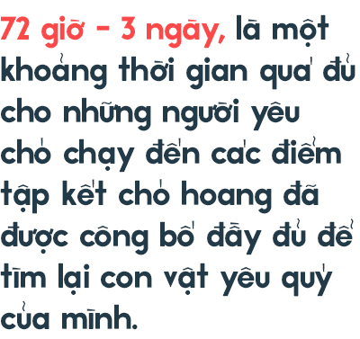 Từ vấn đề bắt nhốt chó ở TP.HCM: Hãy biết yêu thú cưng một cách văn minh và thấu hiểu! - Ảnh 8.