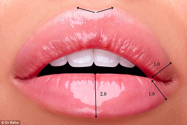 Tìm ra tiêu chuẩn cho đôi môi hoàn hảo được nhiều người khao khát nhất - Ảnh 2.