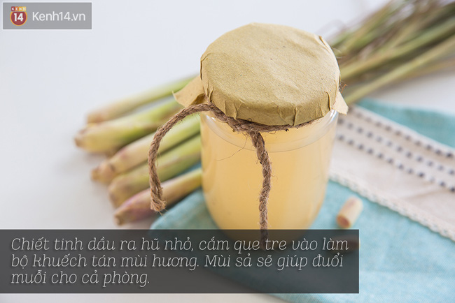 Cần biết ngay: Cách diệt muỗi phù hợp cho từng phòng trong nhà để đề phòng dịch sốt xuất huyết đang bùng phát - Ảnh 6.