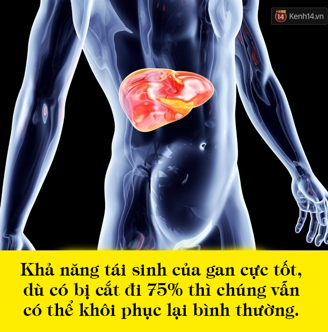 10 sự thật kinh ngạc về cơ thể mà 99% bạn không hề hay biết - Ảnh 18.