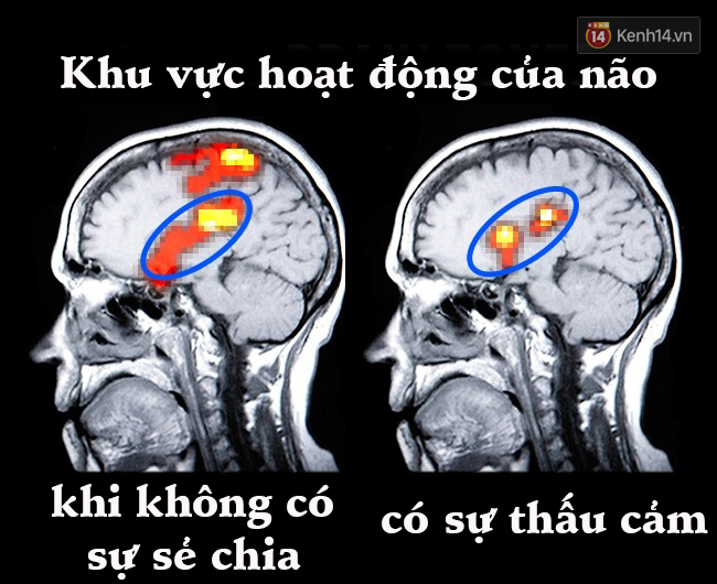 Hạnh phúc thật sự sẽ gõ cửa nếu như bạn làm 7 điều này ngay hôm nay - Ảnh 3.