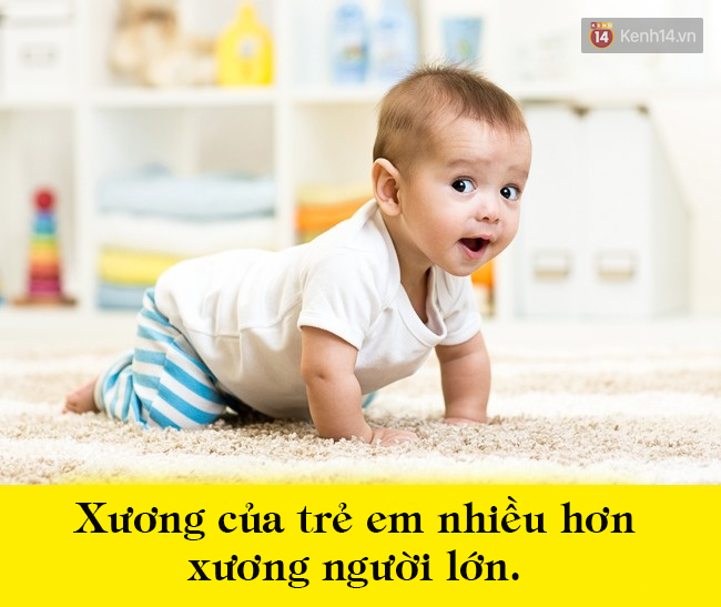 10 sự thật kinh ngạc về cơ thể mà 99% bạn không hề hay biết - Ảnh 12.