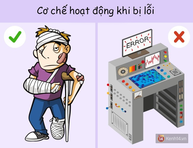 6 sự thật cực sốc về cơ thể người đảm bảo bạn chưa hề hay biết - Ảnh 6.