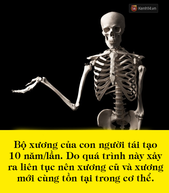 10 sự thật kinh ngạc về cơ thể mà 99% bạn không hề hay biết - Ảnh 10.