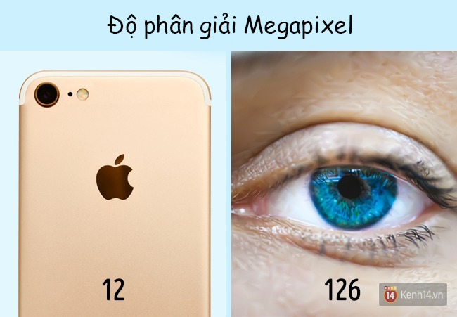 6 sự thật cực sốc về cơ thể người đảm bảo bạn chưa hề hay biết - Ảnh 1.