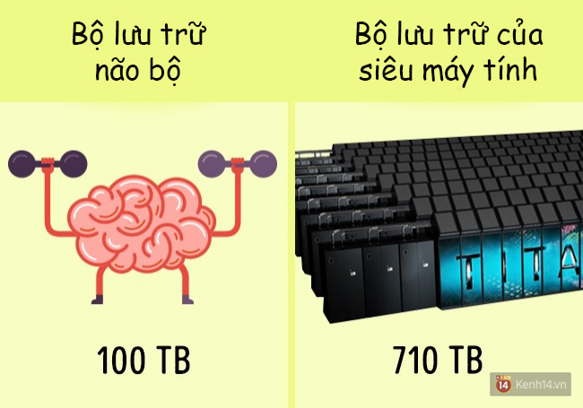 6 sự thật cực sốc về cơ thể người đảm bảo bạn chưa hề hay biết - Ảnh 2.