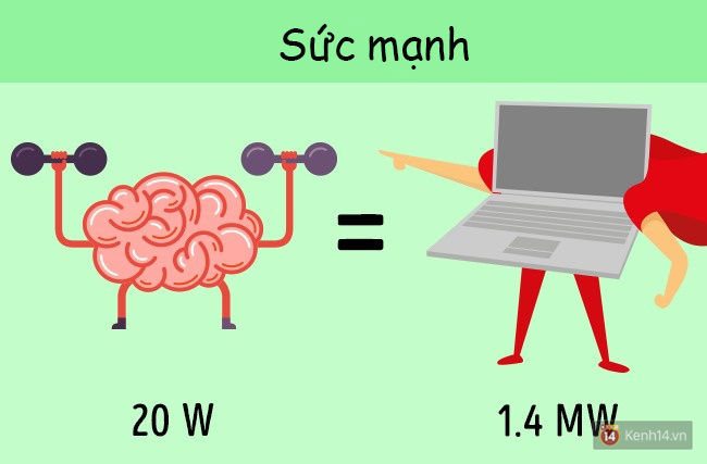 6 sự thật cực sốc về cơ thể người đảm bảo bạn chưa hề hay biết - Ảnh 5.