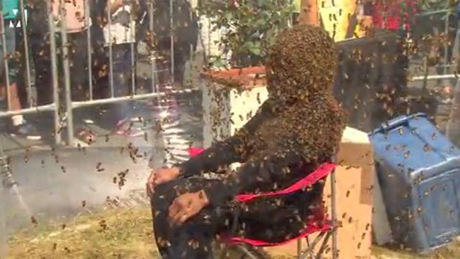 Người đàn ông để cho 100 nghìn con ong bâu kín mặt mà vẫn không sao - Ảnh 2.