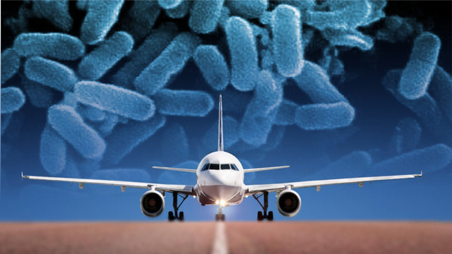 Có những người mang siêu vi khuẩn kháng tất cả kháng sinh về nhà, từ chuyến du lịch cuối cùng của họ - Ảnh 1.