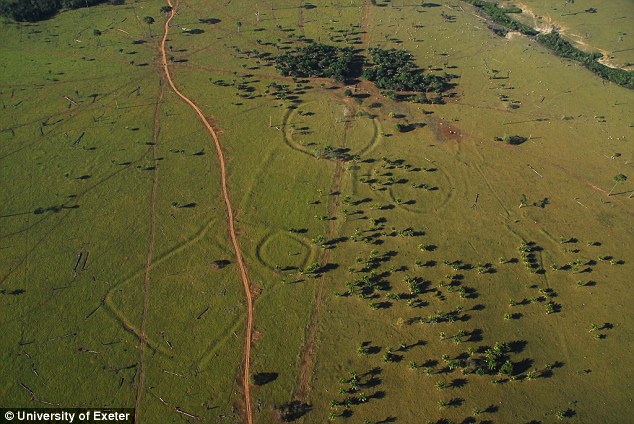 Bí ẩn những trận đồ hơn 2,000 năm tuổi giữa rừng rậm Amazon - Ảnh 2.