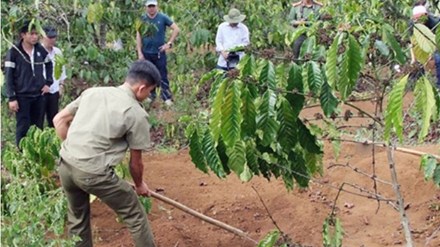 Người vợ cùng nhân tình phi tang xác chồng bị khởi tố - Ảnh 1.