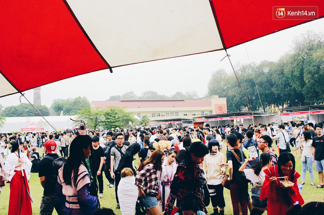 Lễ hội hoa gây thất vọng ở Hà Nội và nghịch lý kì dị: Càng chê càng tò mò và cứ thế kéo đến đông - Ảnh 4.