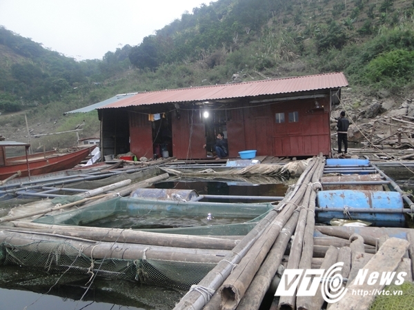 Chị Dậu ở hồ Thủy điện H&ograve;a B&igrave;nh: B&aacute;n đ&agrave;n ch&oacute; kh&ocirc;ng đủ tiền chữa bệnh - Ảnh 1.