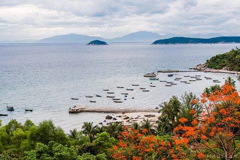 Phát sốt trước vẻ đẹp của hòn đảo hoa độc nhất vô nhị tại Việt Nam - Ảnh 5.