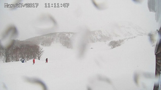 Lở tuyết ở Nhật Bản, ít nhất 8 người chết - Ảnh 1.
