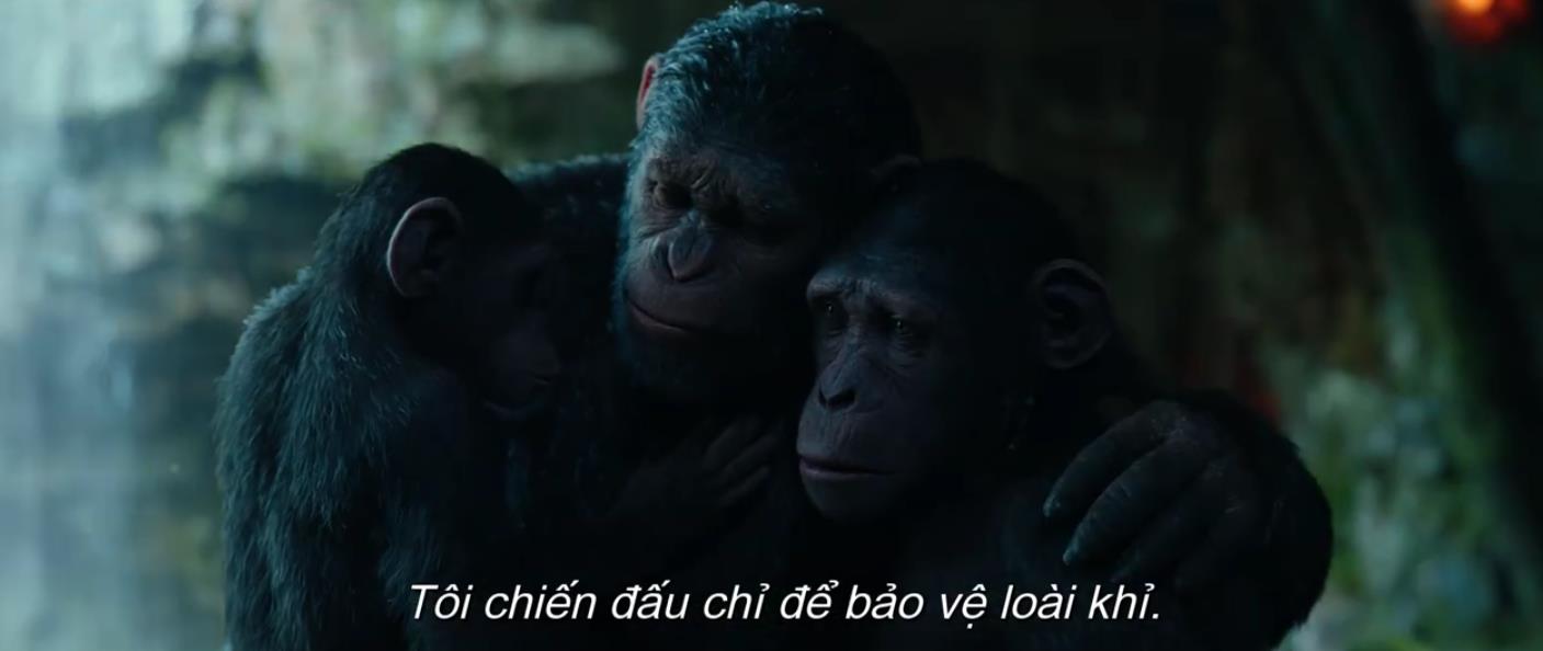 Ceasar bị phản bội trong trailer mới của War For The Planet Of The Apes - Ảnh 3.