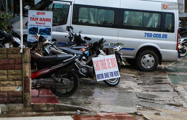 Khách du lịch lang thang, vật vờ từ chiều đến tối tìm chỗ ngủ ở Đà Lạt trong dịp lễ 30/4 - Ảnh 3.