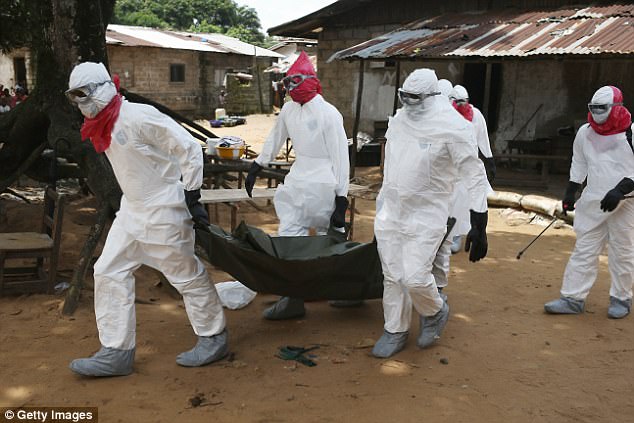 Tổ chức Y tế thế giới công bố đại dịch chết người Ebola đã quay trở lại - Ảnh 1.