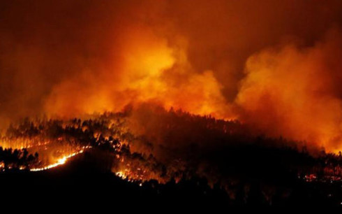 Cháy rừng thiêu chết hàng chục người trong ô tô tại Bồ Đào Nha - Ảnh 1.