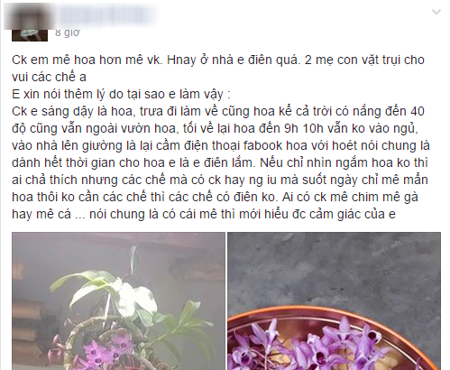 Vợ vặt hoa làm nước tắm, mang cá cảnh đi rán: Kiểu đánh ghen khiến chồng không thể ngờ - Ảnh 1.