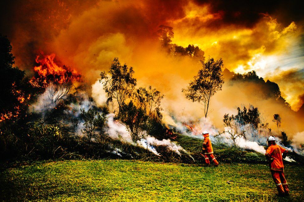 Không ngại ngần nguy hiểm, nhiếp ảnh gia lao mình vào hỏa diệm để chụp được bức ảnh để đời - Ảnh 2.