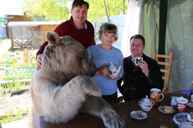 Nuôi thú cưng thế này mới đẳng cấp: Cặp đôi sống chung cùng chú gấu nặng 360kg suốt 24 năm - Ảnh 3.