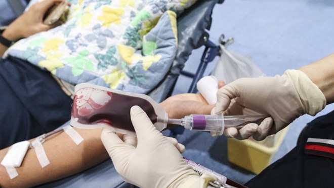 Một người Hong Kong nguy kịch vì viêm não Nhật Bản do truyền máu - Ảnh 1.