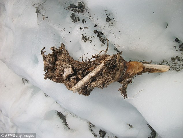 Thi thể nạn nhân tai nạn máy bay được phát hiện đóng băng trên núi suốt 50 năm - Ảnh 1.