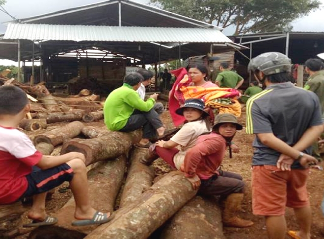 Ngã vào máy cưa, nam thanh niên bị cắt đứt người  - Ảnh 1.