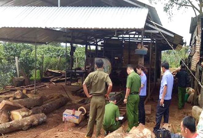 Ngã vào máy cưa, nam thanh niên bị cắt đứt người  - Ảnh 2.