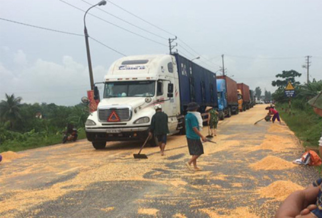 Quảng Ninh: Người dân tranh nhau hôi ngô rơi của tài xế container - Ảnh 1.