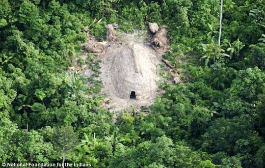 Vụ thảm sát chấn động sông Amazon, cư dân bộ lạc bị chặt xác ném sông - Ảnh 2.