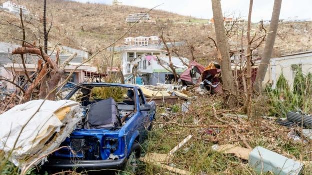 Sau bão Irma, nhiều đảo thiên đường ở Caribbean thành bình địa nhung nhúc chuột bọ - Ảnh 1.