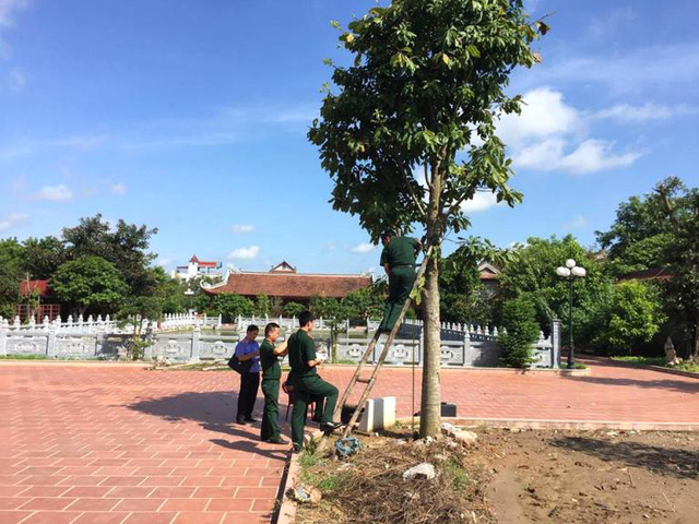 Hải Dương: Phát hiện thanh niên treo cổ tự tử trên cây - Ảnh 1.