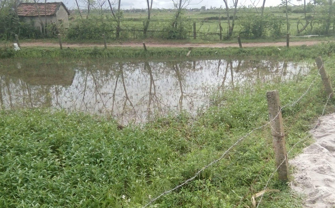 Dây điện sà xuống nước, hai cậu cháu tử vong thương tâm - Ảnh 1.