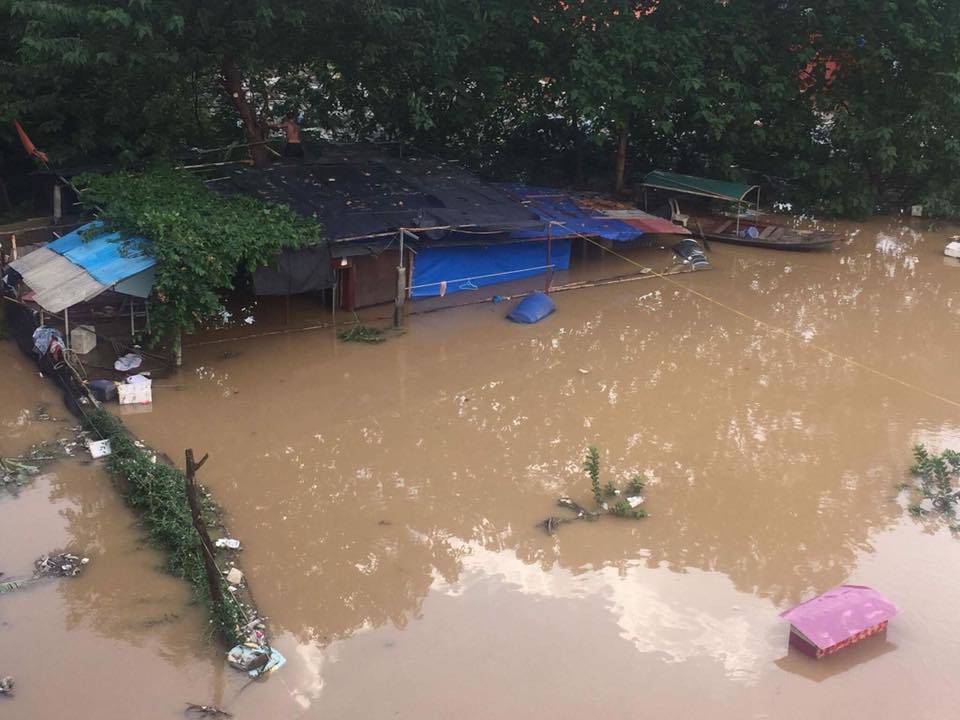 Nước sông Hồng dâng cao, nhiều hoa màu cùng nhà dân bị ngập, tàu thuyền không thể di chuyển qua cầu Long Biên - Ảnh 6.