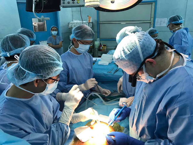 TP.HCM: Bé gái 3 tuổi xơ gan giai đoạn cuối sống sót nhờ phần tạng hiến của anh họ - Ảnh 1.