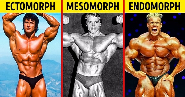 C&aacute;ch gi&uacute;p bạn biết ch&iacute;nh x&aacute;c m&igrave;nh thuộc tạng người n&agrave;o để ăn uống v&agrave; tập luyện ph&ugrave; hợp - Ảnh 1.