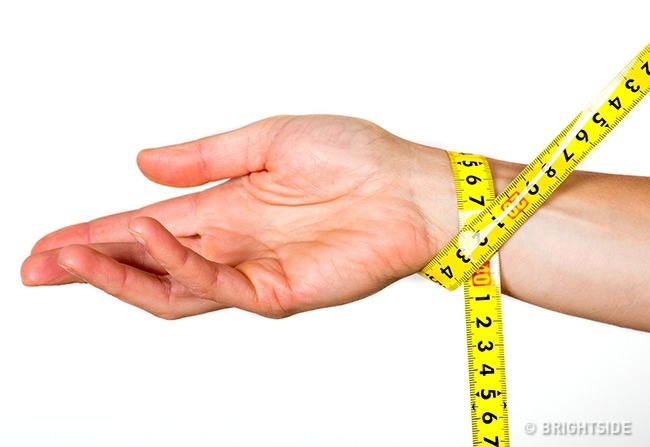 C&aacute;ch gi&uacute;p bạn biết ch&iacute;nh x&aacute;c m&igrave;nh thuộc tạng người n&agrave;o để ăn uống v&agrave; tập luyện ph&ugrave; hợp - Ảnh 2.