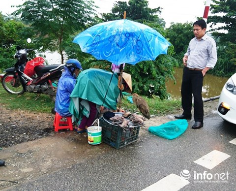 Huế: Kinh hoàng tận diệt chim trời bịt miệng, khâu mắt - Ảnh 11.