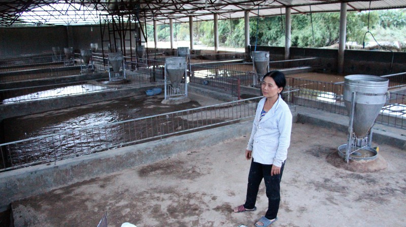 Nước lũ dâng cao, cuốn trôi đàn heo hơn 300 con của bà Phan Thị Hường. Sau 1 đêm, tất cả giờ chỉ là những chuồng trống. Ảnh: Quốc Nhựt