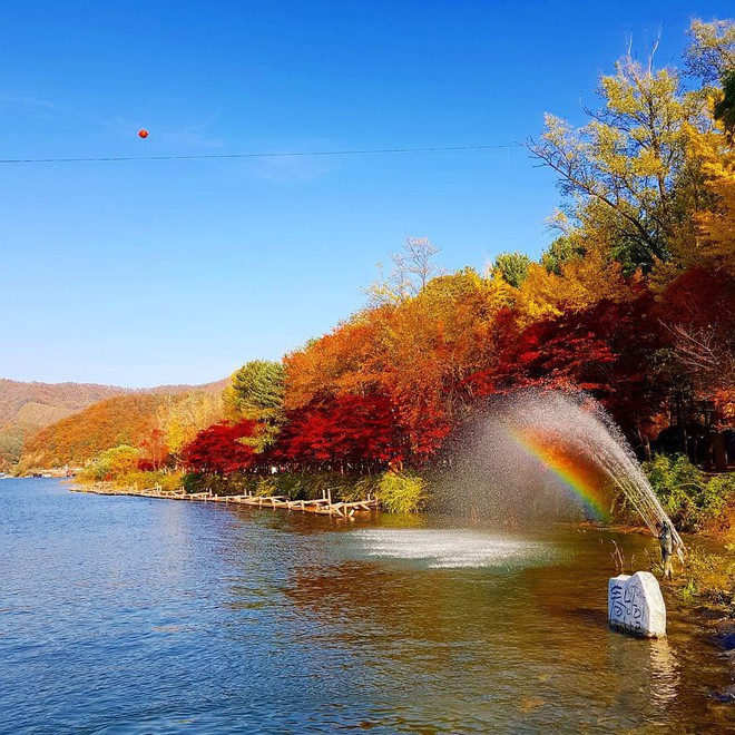 50+ hình ảnh mùa thu đẹp lãng mạn ngất ngây | ảnh mùa thu là rụng đẹp