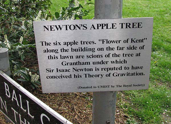 Sự thật đằng sau câu chuyện quả táo rơi trúng đầu Isaac Newton - Ảnh 3.