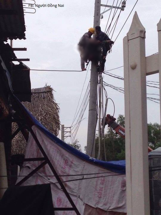 Đồng Nai: Thợ điện bị điện giật tử vong khi đang sửa đường đây - Ảnh 1.