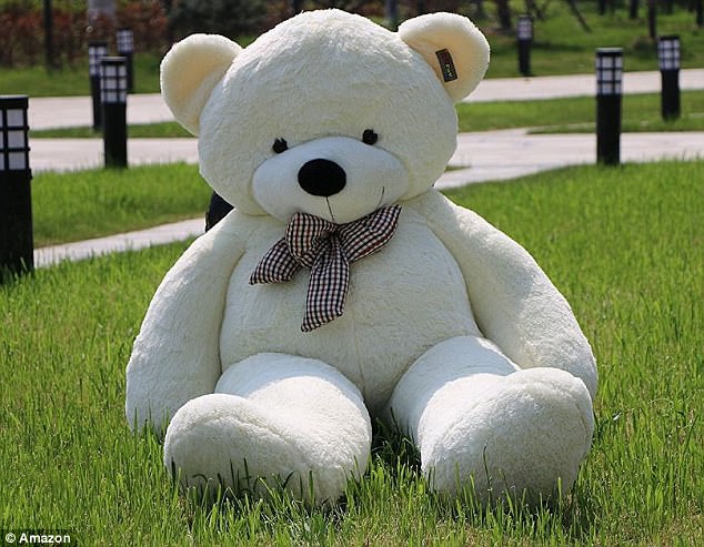 Bi hài chuyện mua hàng online: Đặt mua gấu bông khổng lồ cao 2m, nhận về gấu gầy đét, chân dài 98cm - Ảnh 1.